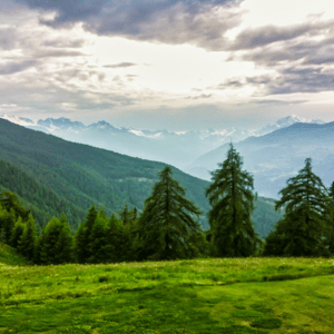 Nature