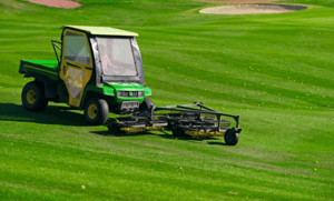 Turf Equipment