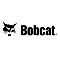 bobcat