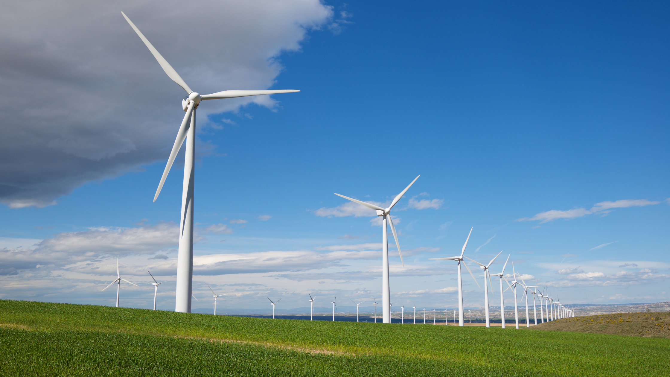 wind turbines in field
